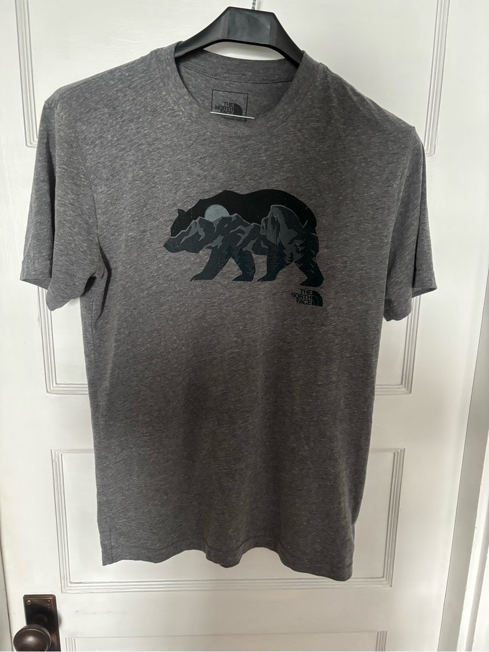 The North Face Men's Charcoal Gray Bear Graphic Short Sleeve Tee
